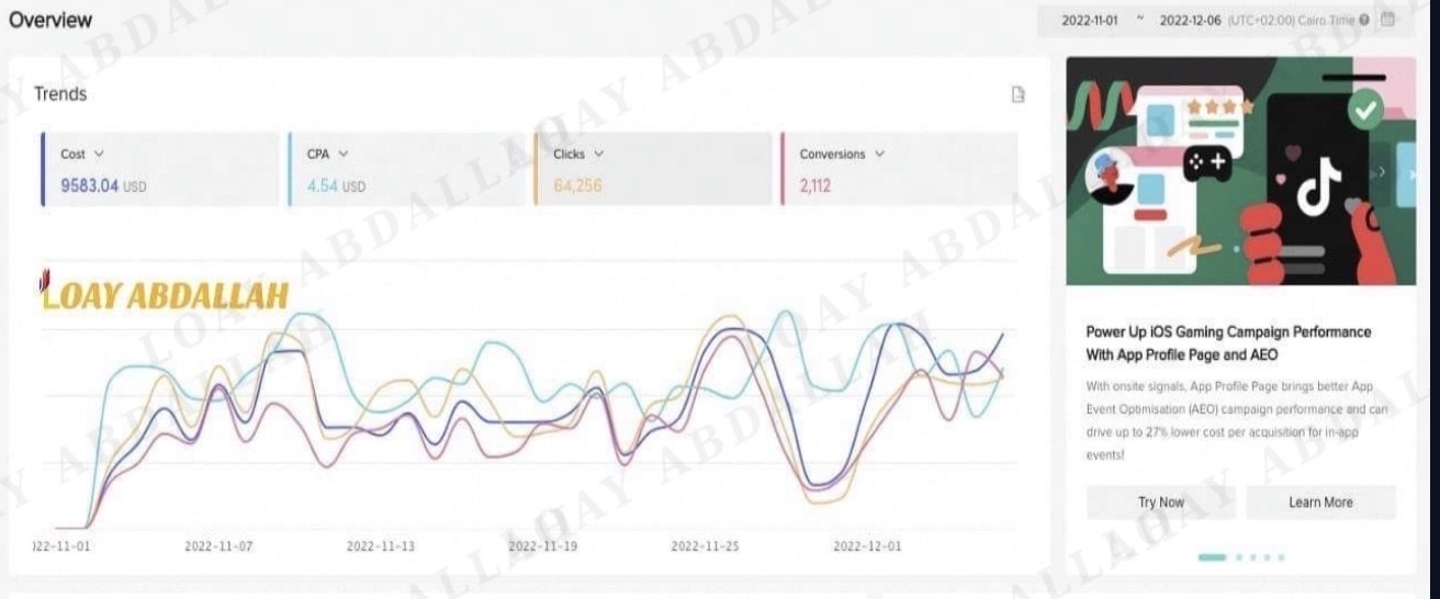 Loay Abdallah — TikTok Ads Manager e-commerce campaign performance showing cost per acquisition and conversion data