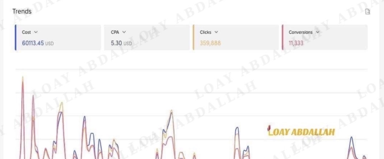 Loay Abdallah — TikTok Ads e-commerce scaling campaign with 11333 conversions and USD 5.30 CPA
